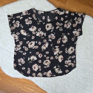 Maurices Black/Tan Chiffon Blouse, Womens XXL